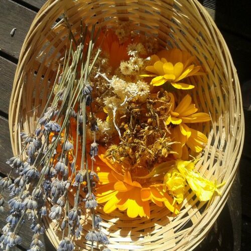 Corbeille Fleurs Sauvages Sechees